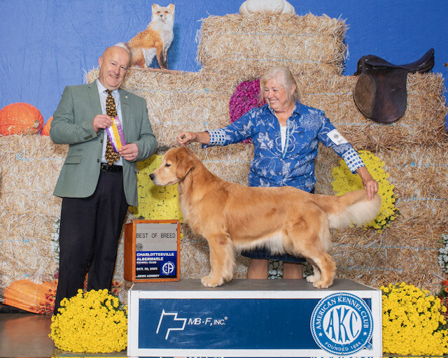 Liberty Lionswatch Call Me Maybe (Maybelline)