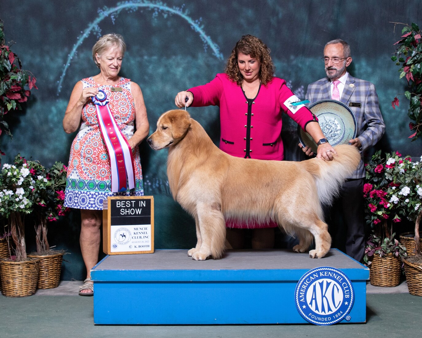 Am GCHG MBIS MBISS CH Sunkota Casey's Off To Dublin SDHF OS (Teague)