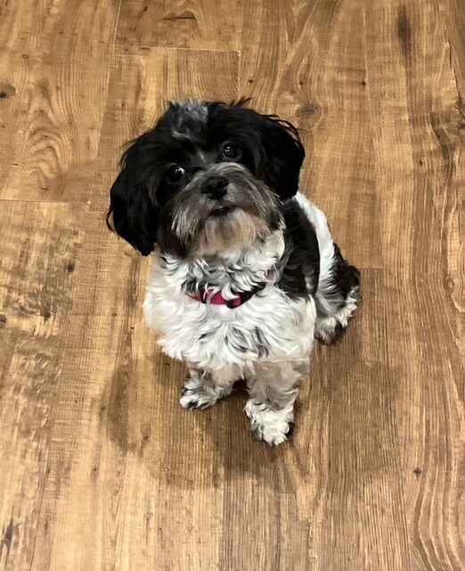 benny1