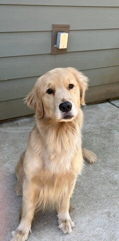 skye5