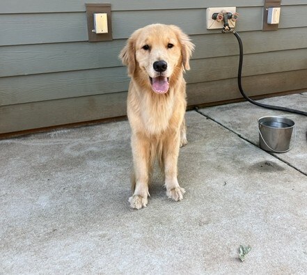 skye4